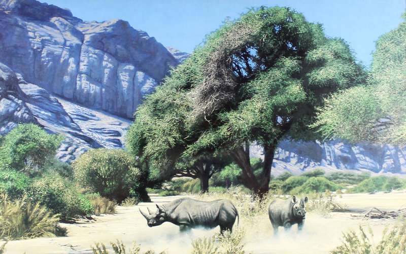 Rhino print