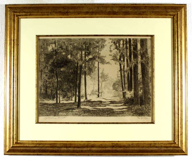 Reg Jordan - Tsitsikama forest