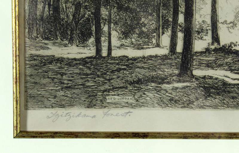 Reg Jordan - Tsitsikama forest