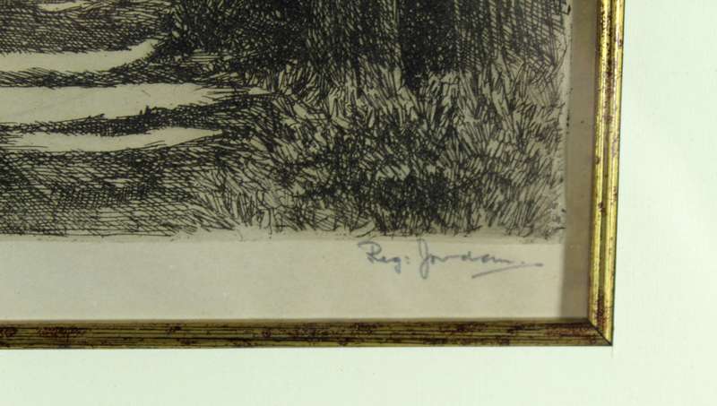 Reg Jordan - Tsitsikama forest