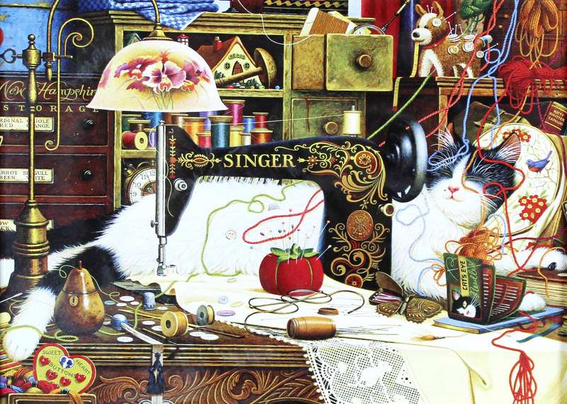 Singer cat print