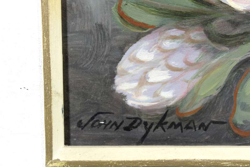 John Dykman - Protea's