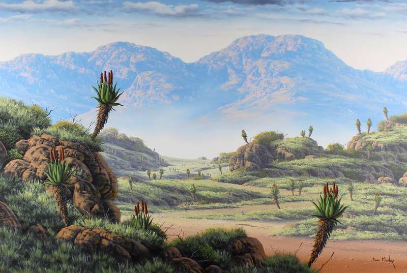 Paul Munro - Aloes in the mountains