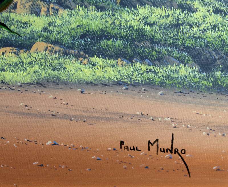 Paul Munro - Aloes in the mountains