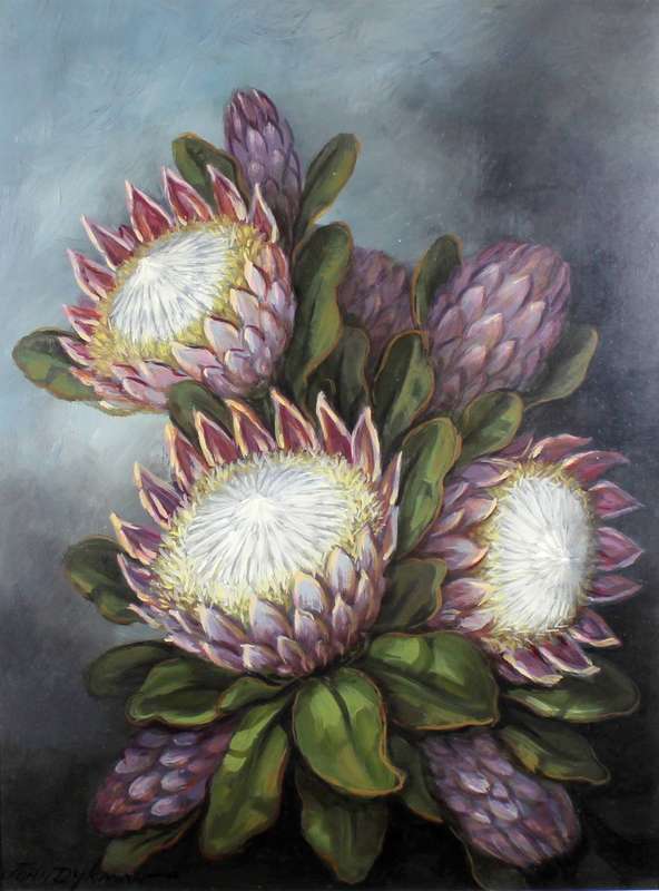 John Dykman - Still life Protea's