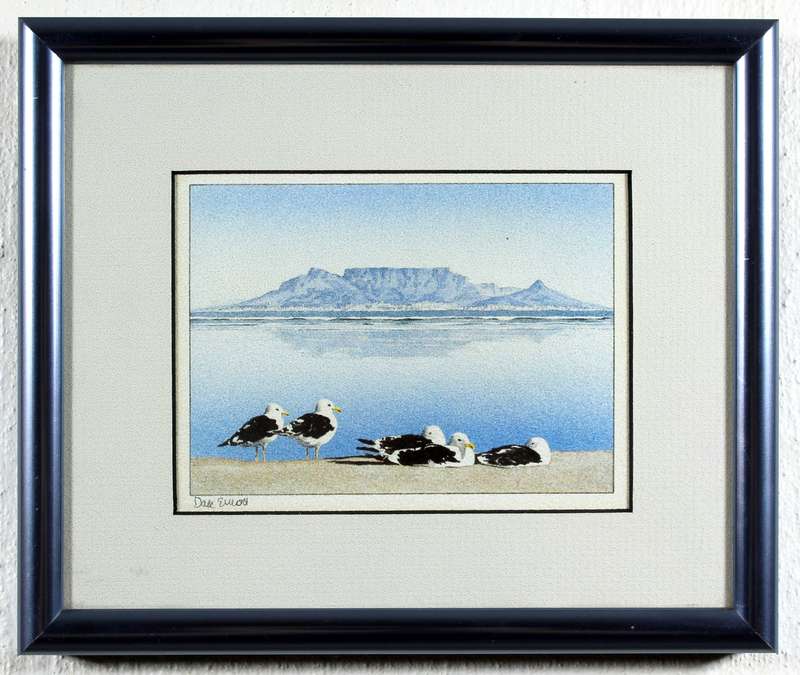 Dale Elliot - Table mountain & seagulls