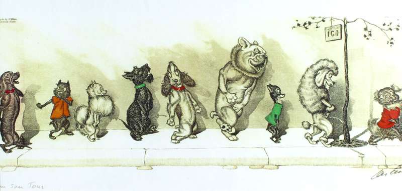Boris O'Klein - Dogs of Paris - Wait your turn