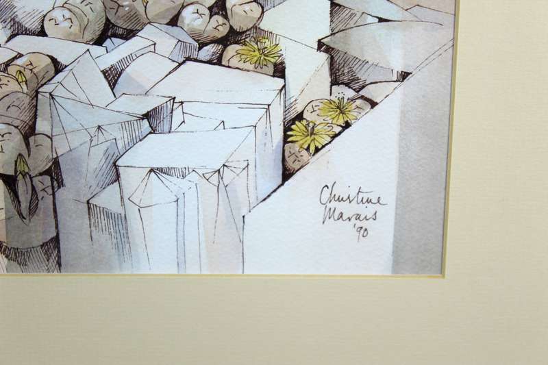Christine Marais - Ruins in the desert