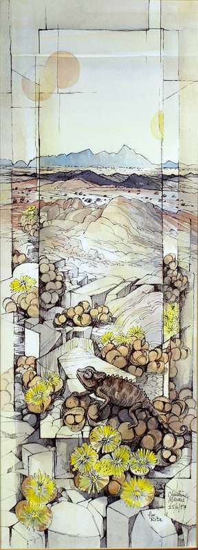 Christine Marais - Chameleon in the desert