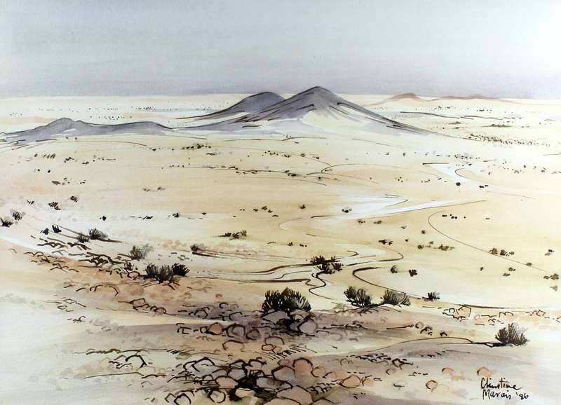 Christine Marais - Desert landscape