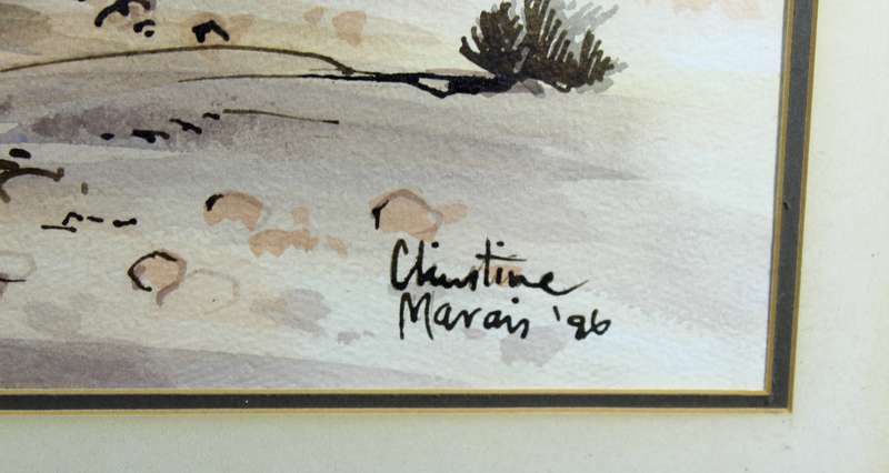 Christine Marais - Desert landscape