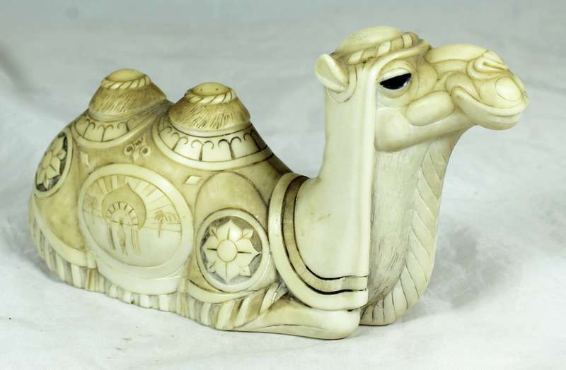 John Biccard - Sufi camel