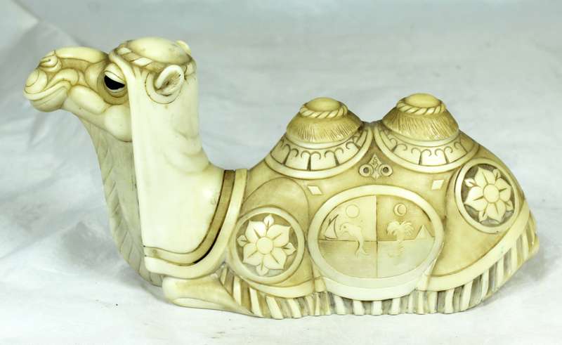 John Biccard - Sufi camel