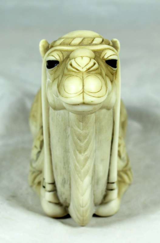 John Biccard - Sufi camel