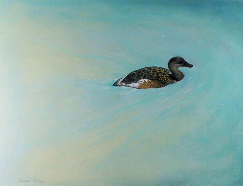 Linchen Kirchner - Duck in an expansive body of water