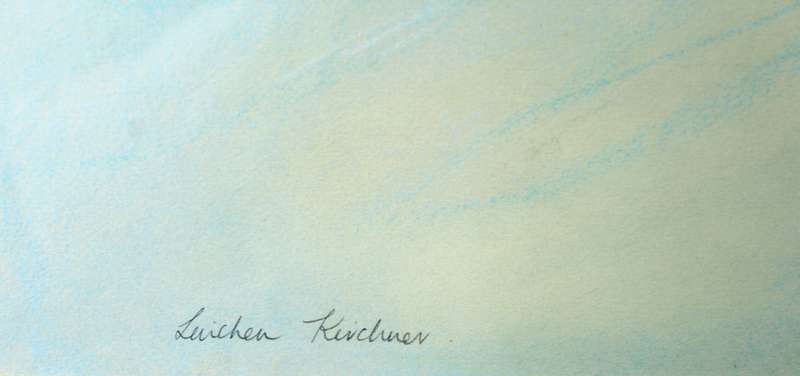 Linchen Kirchner - Duck in an expansive body of water