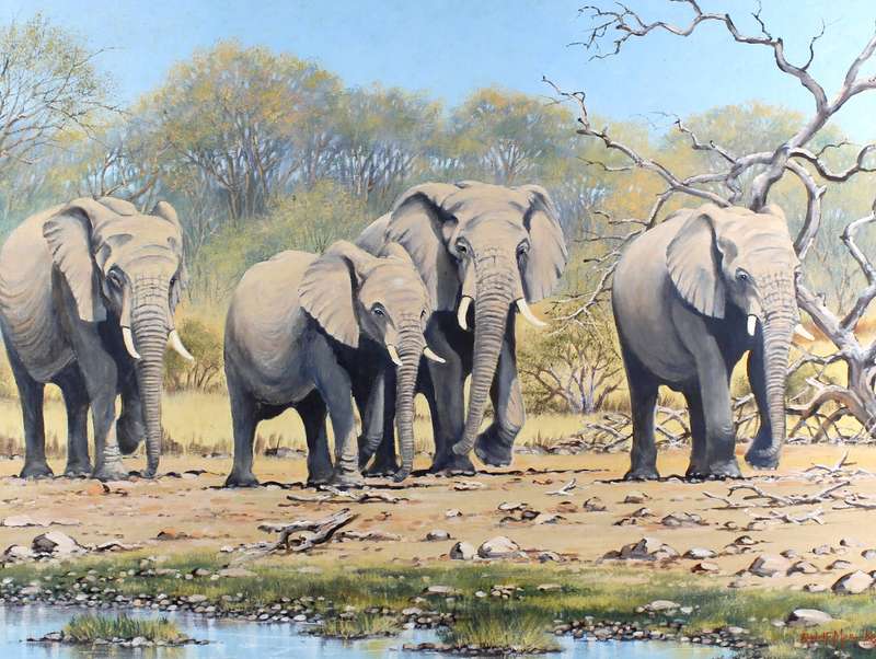 Rudolf Mocke - Elephants