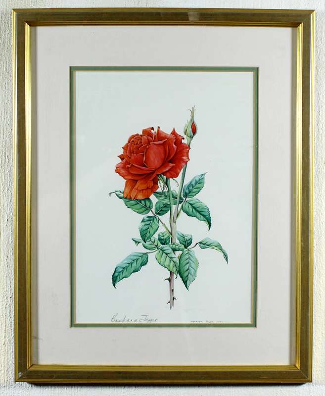 Barbara Jeppe - Rose still life