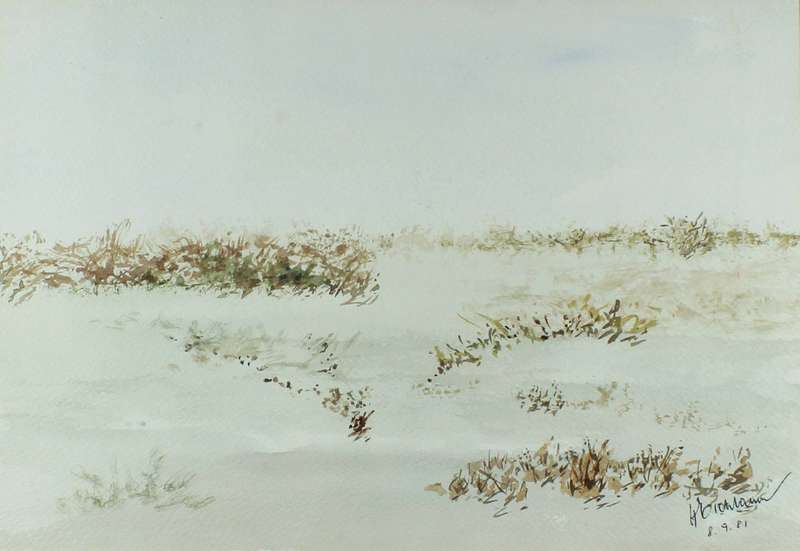 H Bichlam - Abstract landscape