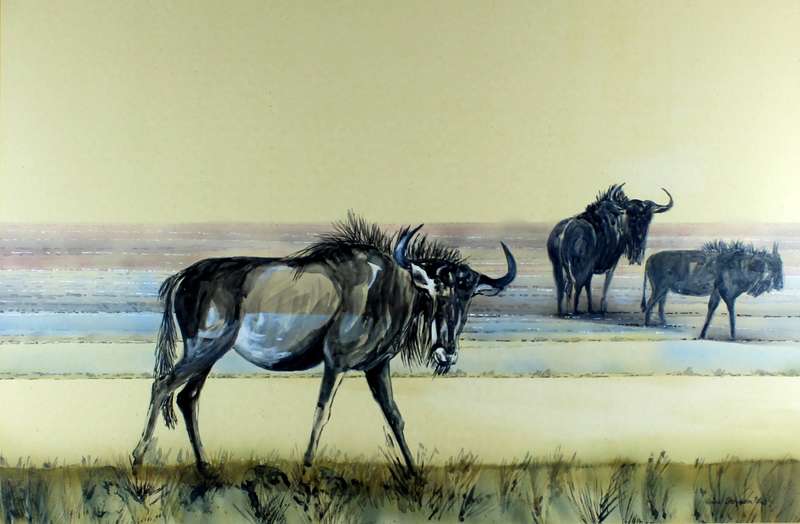 Enid Strydom - Wildebeest