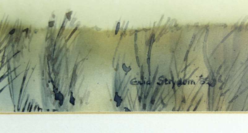 Enid Strydom - Wildebeest