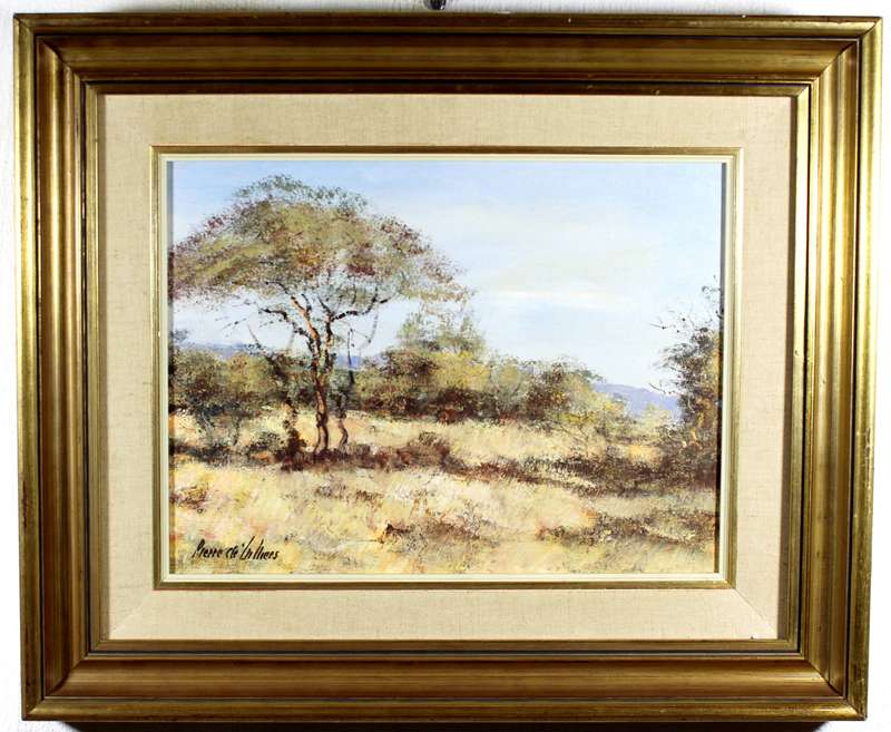 Pierre de Villiers - Bushveld