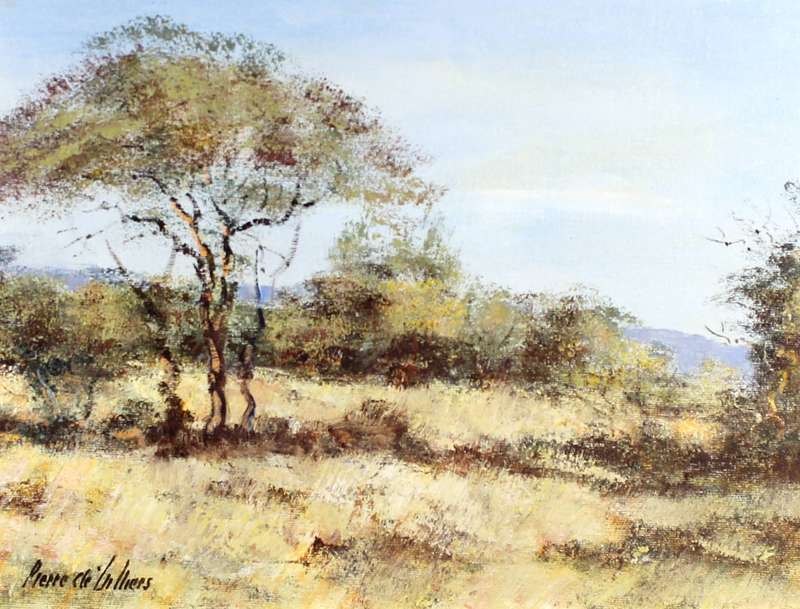 Pierre de Villiers - Bushveld
