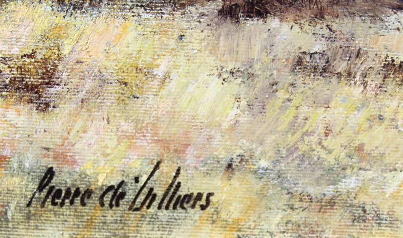 Pierre de Villiers - Bushveld