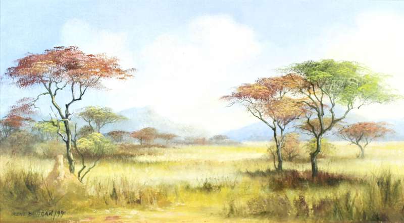 Irene Duggan - Bushveld scene