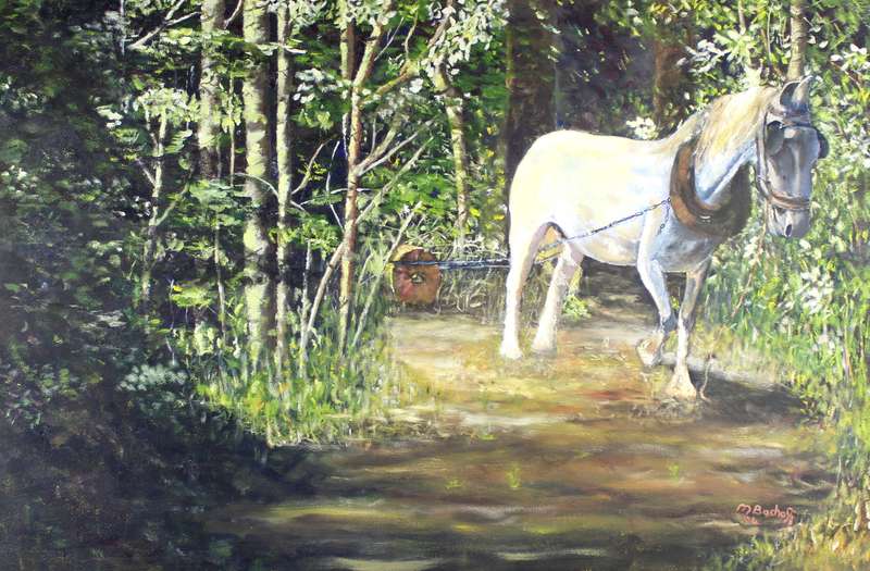 M Boshoff - Horse in the woods
