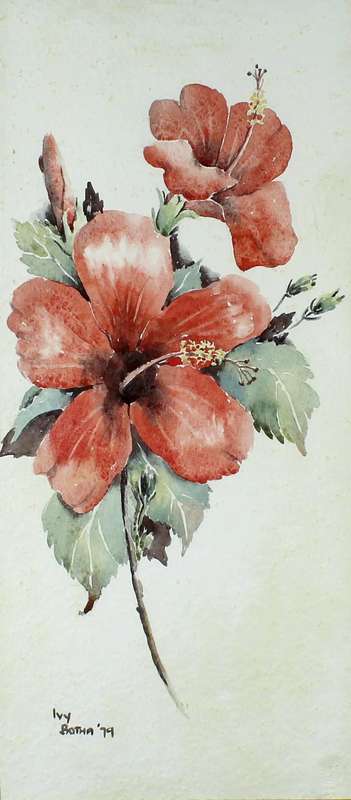 Ivy Botha - Hibuscus