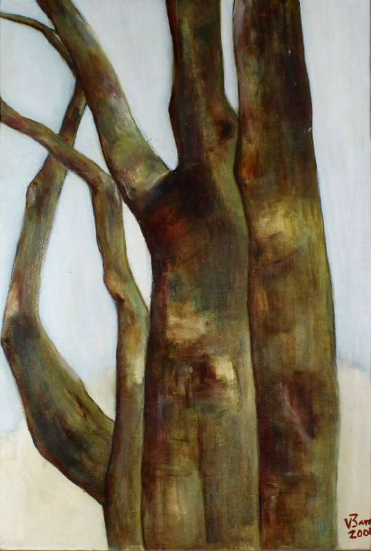 V Barr - Tree study