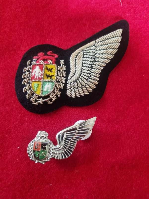 SAAF Navigators Wing Set- full size & Miniature Wing