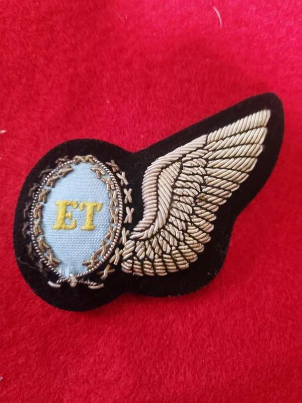 SAAF Technical Engineer- full size Wing