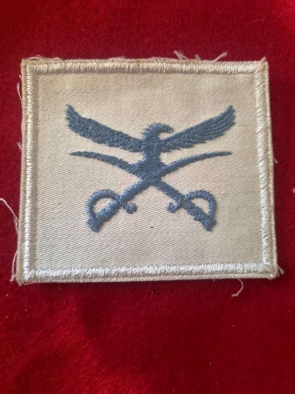 SAAF PTI Cloth Badge