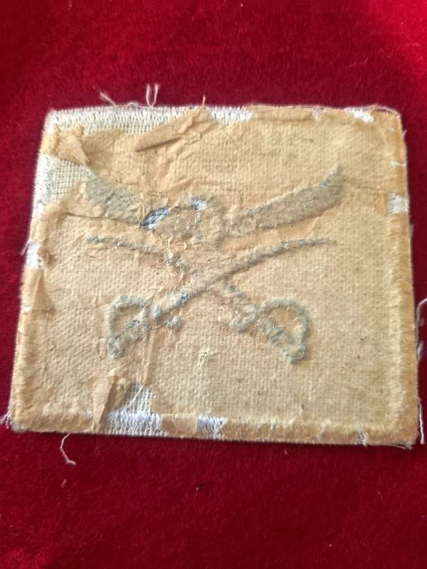 SAAF PTI Cloth Badge