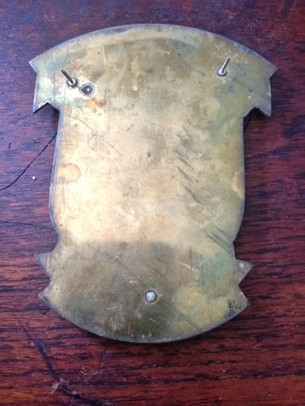Pietermaritzburg Reaction Unit 8 Plaque Flash