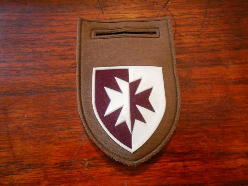 1 Medical Battalion Nutria Shoulder Flash