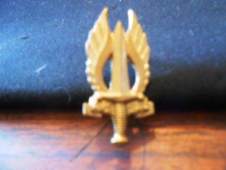 Regiment Northern Transvaal Cap Badge