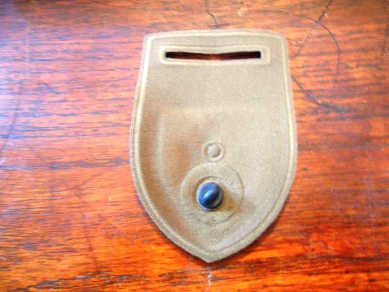 1 Medical Battalion Nutria Shoulder Flash