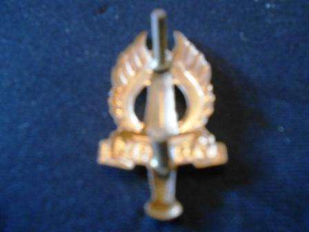 Regiment Northern Transvaal Cap Badge