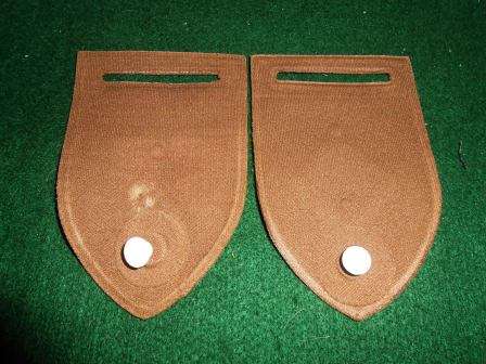 Group 13 Nutria Shoulder Flash with Signal company Flash