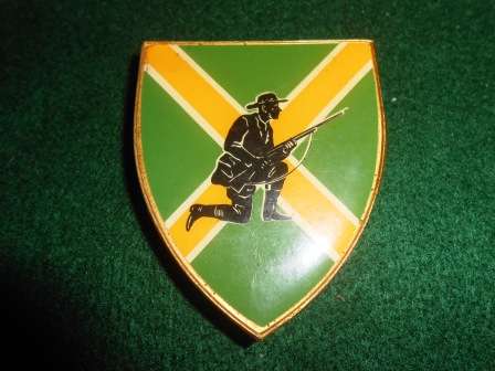 Danie Theron Combat School Shoulder Flash