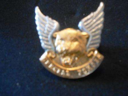 Transkei Special Forces Cap Badge