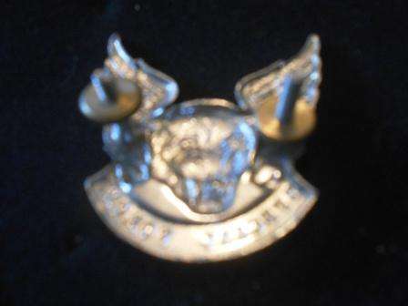 Transkei Special Forces Cap Badge