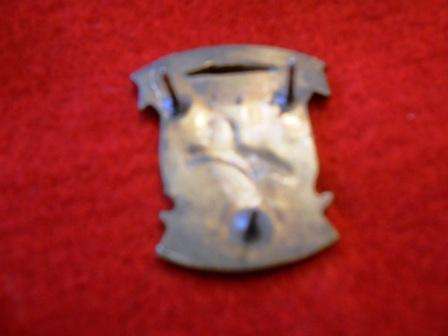 Police Tactical Response Team Badge
