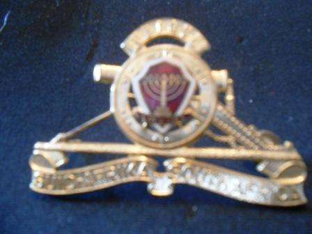 Potchefstroom University Artillery Cap Badge