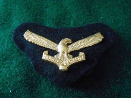 SAAF Junior Officers Cap Badge