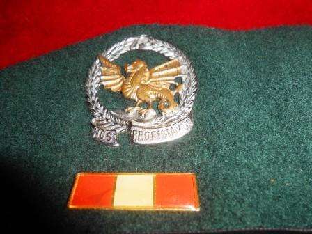 SADF 73 Motorised Brigade Beret - Very scarce