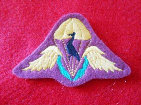 Ciskei Paratrooper Wing - Prototype